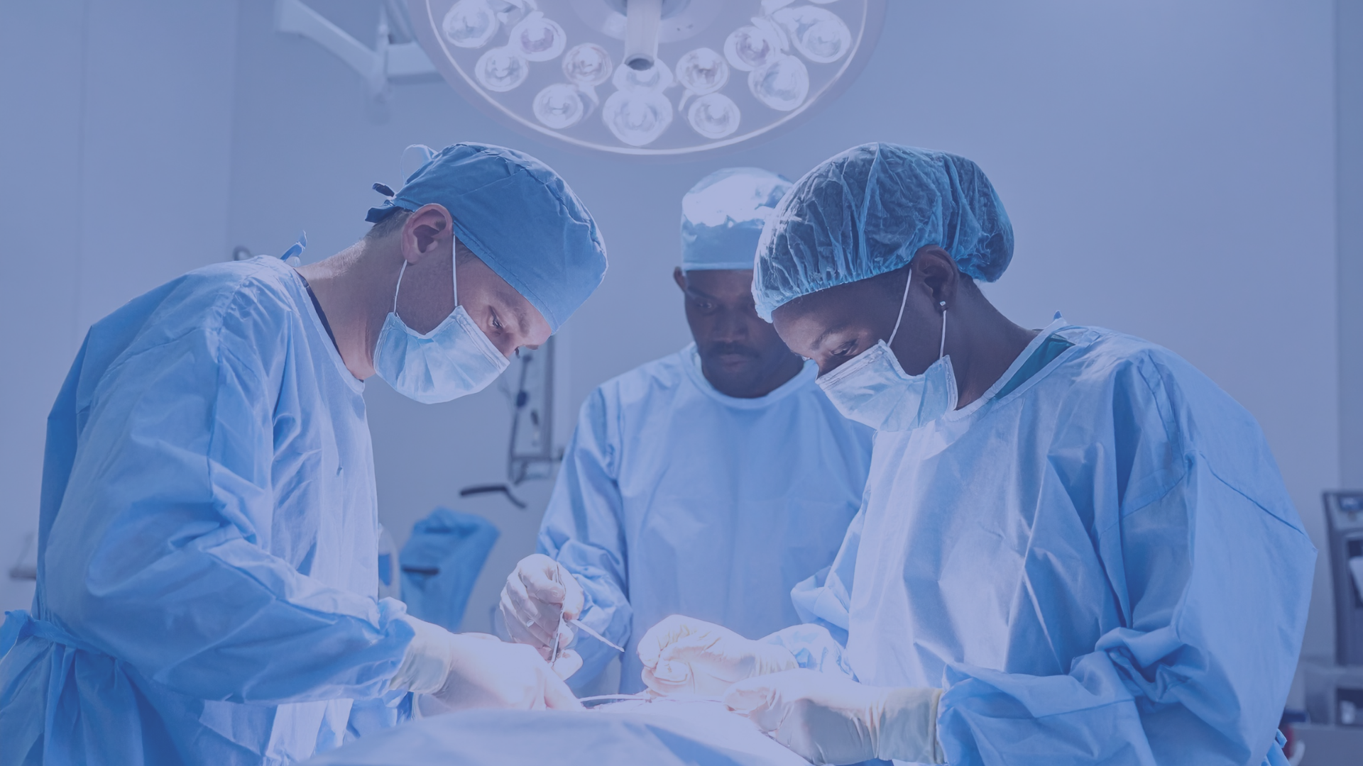 rookdev web medical equipment
