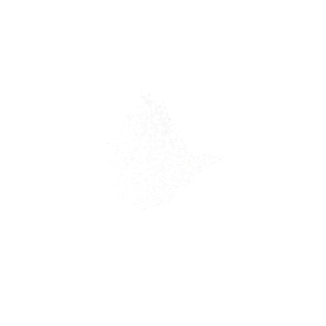 Rook Dev